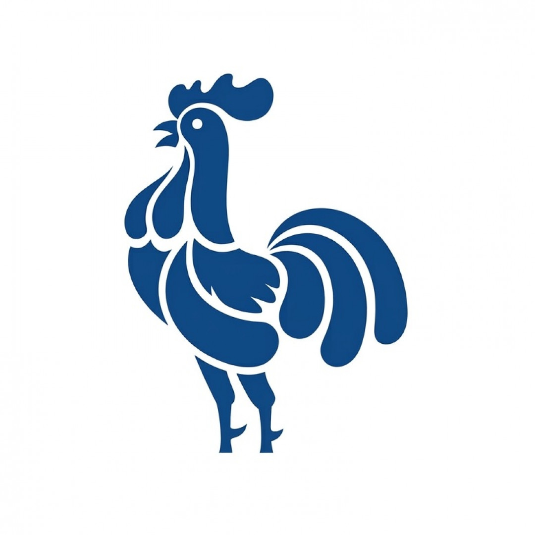 Logo de Nova Cultural